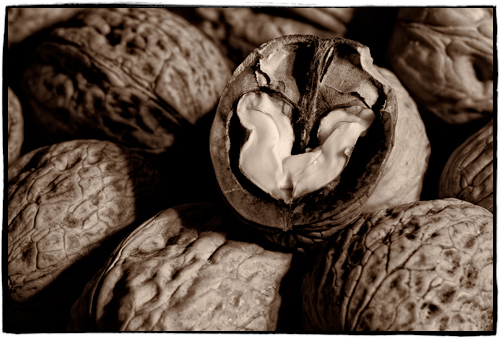 Walnüsse