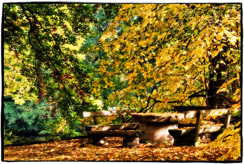 Herbstliche Sitzgruppe